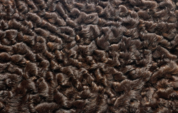 Мех каракуль