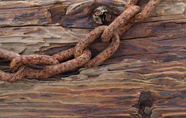 Ржавая цепь на старом дереве