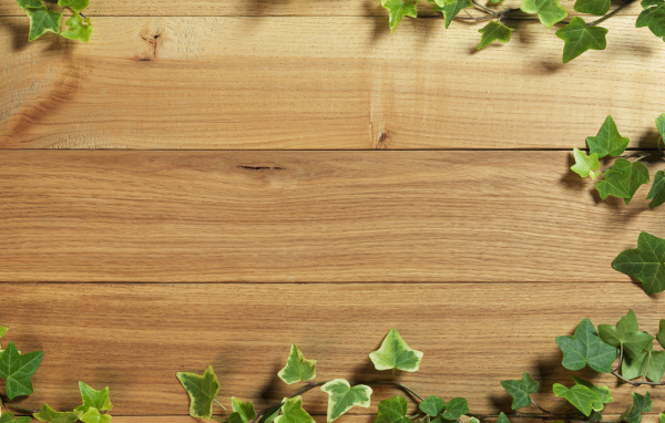 Плющ на деревянном полу