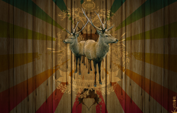 Объединение потребителей