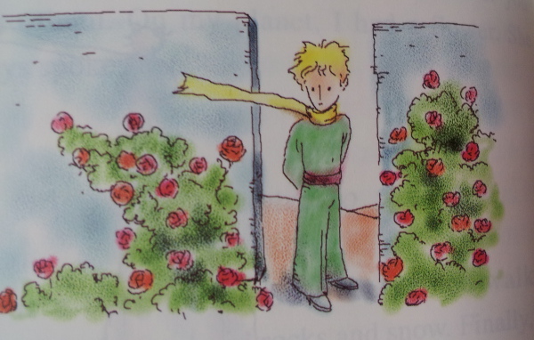 Книга о приключениях маленького принца