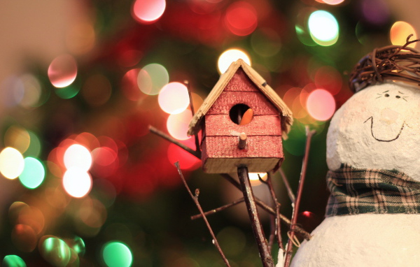 Снеговик с домиком для птиц