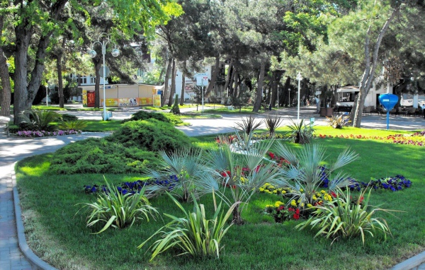 Клумба в городе