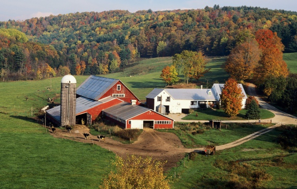 Усадьба фермера