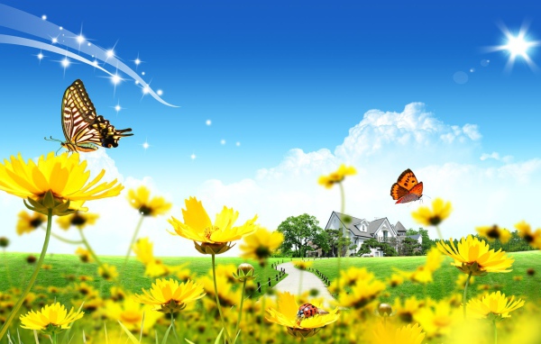 Дом прекрасных цветов