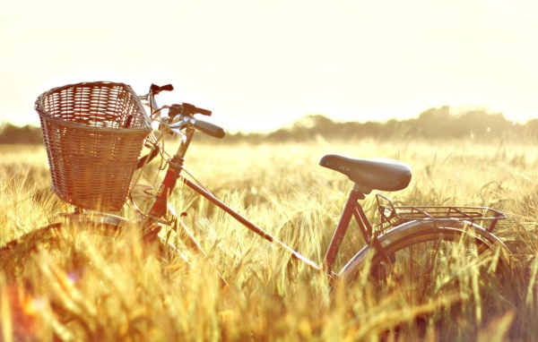 Велосипед в поле