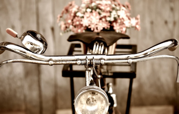 Bелосипед с цветами