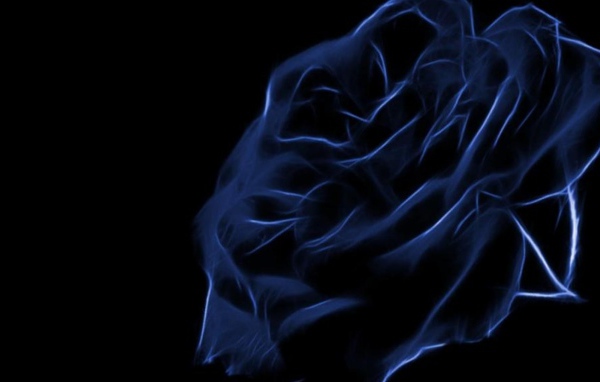 Синяя роза, креативный рисунок