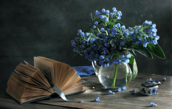 Синие цветы и книга