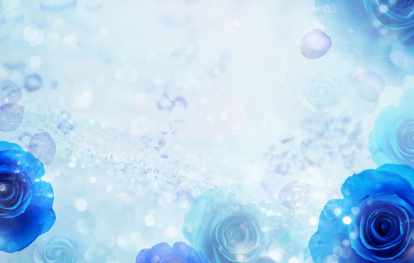 Синие розы на голубом фоне