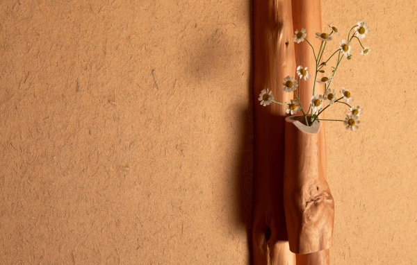 Ромашки в деревянной вазе