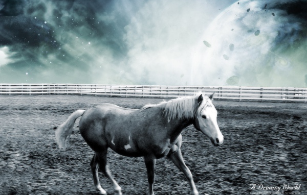 Лошадь в фантастическом мире