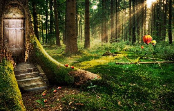 Заколдованный лес