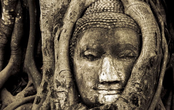 Лицо Будды в дереве