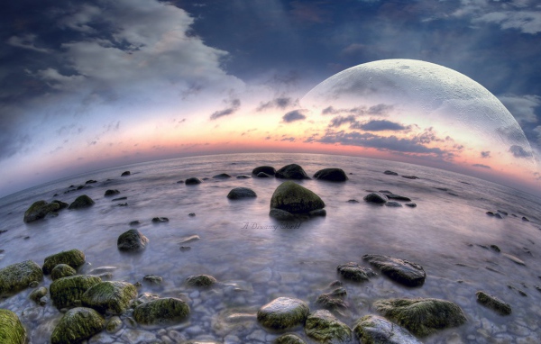 Рыбий пляж в выдуманном мире