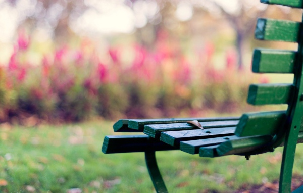 Зелёная скамейка на траве