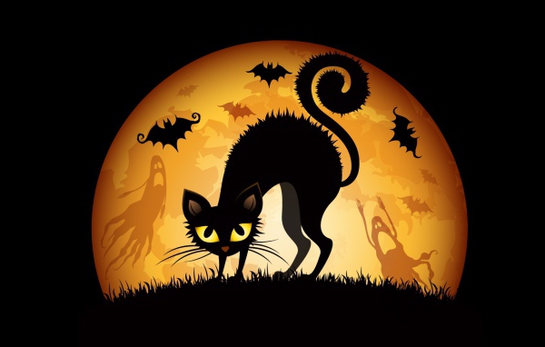 Хеллоуинский кот