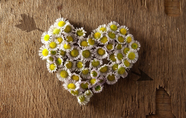 Сердечко из ромашек