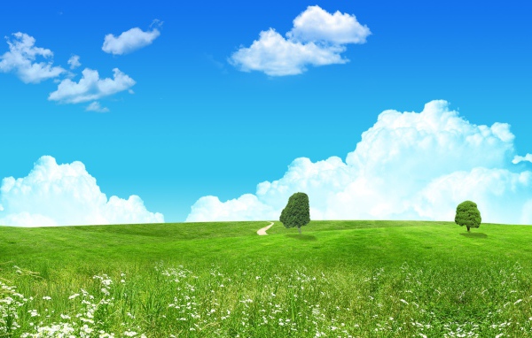 Любимый зеленый пейзаж