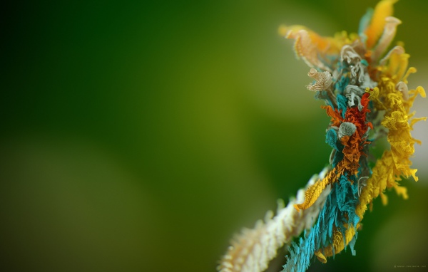 Микро объект 