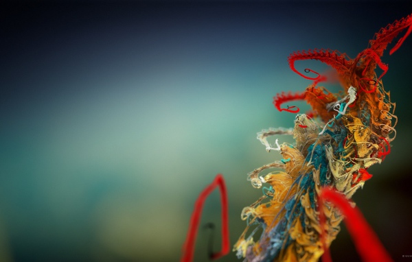 Микроскопическое растение