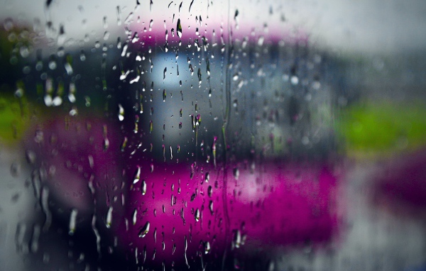 Дождливый день