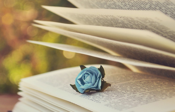 Роза в книге