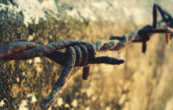 Ржавая колючая проволока