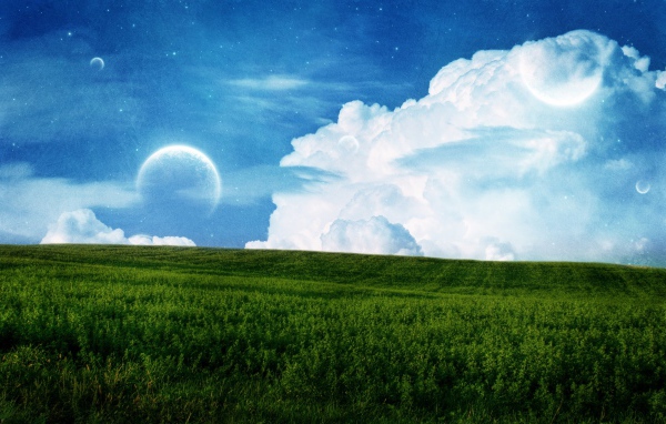 Поле и небо