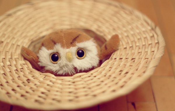 Mягкая игрушка совёнок