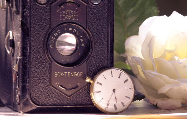 Ретро фотоаппарат и роза