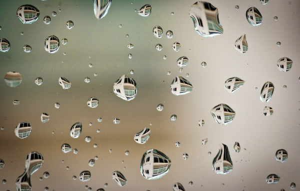 	   The reflection in the drops