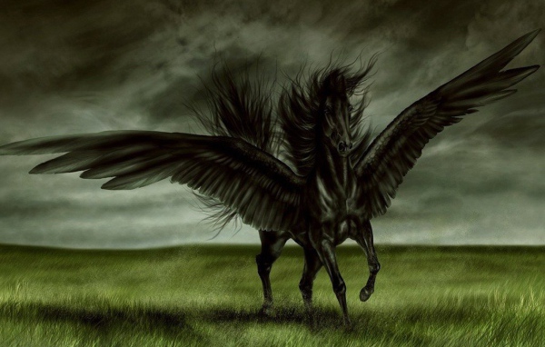 Черная лошадь с крыльями