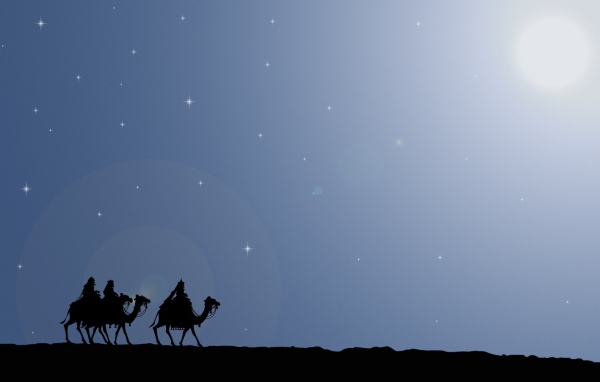 Верблюды в пустыне