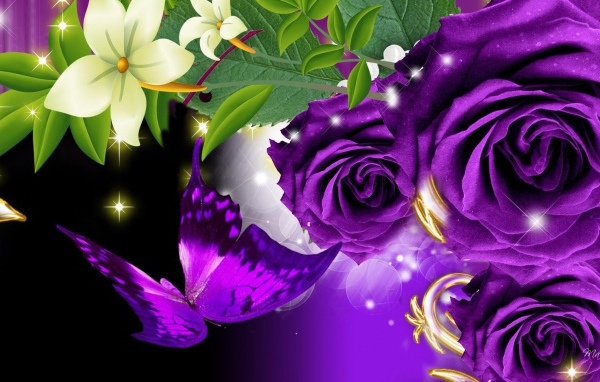 Фиолетовые розы и бабочка на чёрном фоне