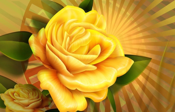 Жёлтые розы, рисунок