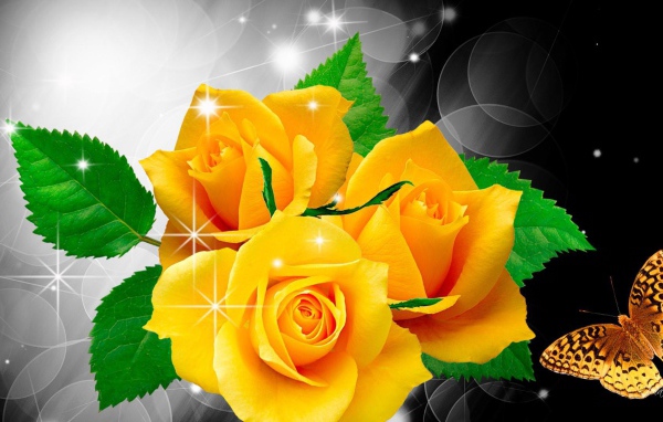 Жёлтые розы и бабочка