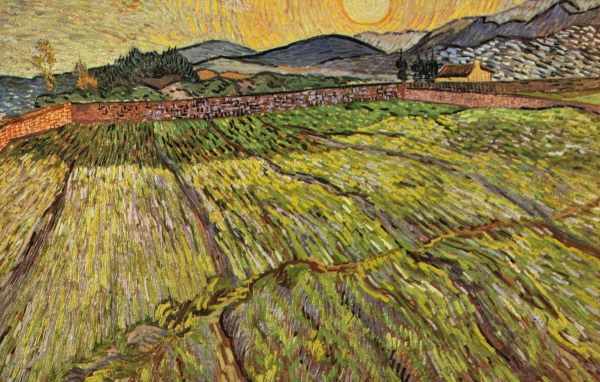 Картина Винсента Ван Гога - Поле пейзаж