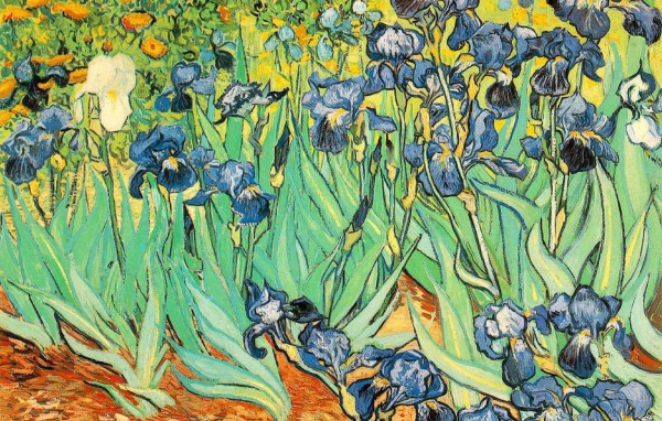 Картина Винсента Ван Гога - Ирисы