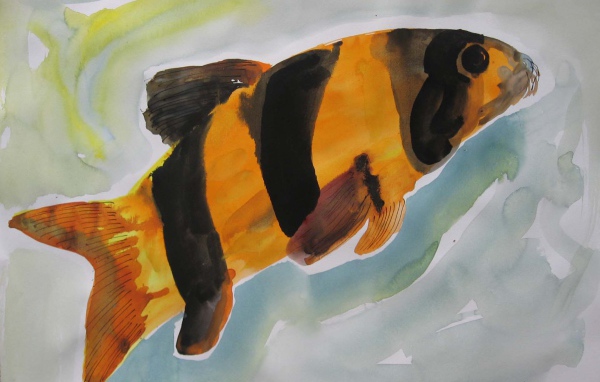 Картинка Марлен Дюма - Красочная рыба