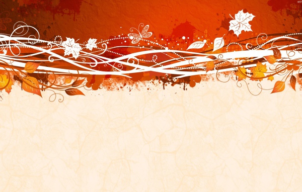 Векторный дизайн