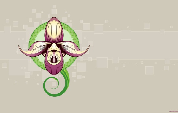 Рисунок орхидеи
