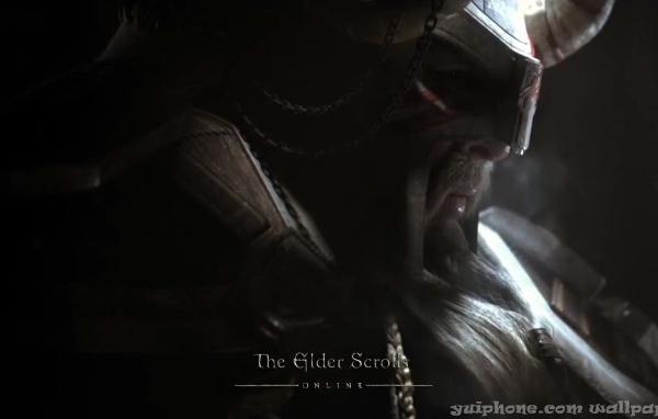 Закаленный в боях викинг