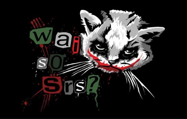 Забавный кот Джокер