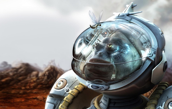 Стрекоза на скафандре