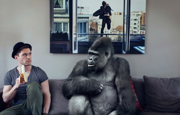 Обезьяна хочет банан