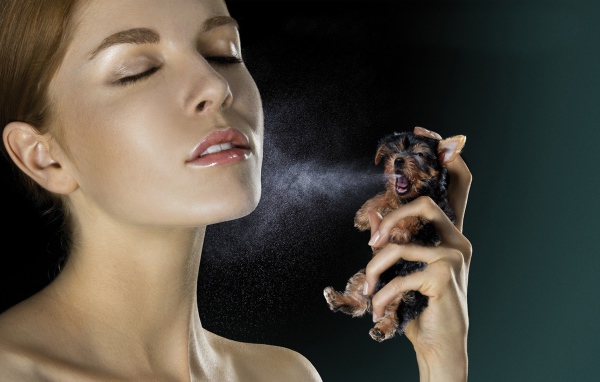 Духи из щенка