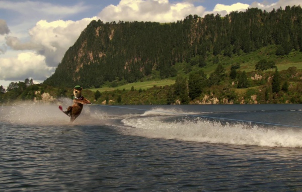 Медведь из мультфильма