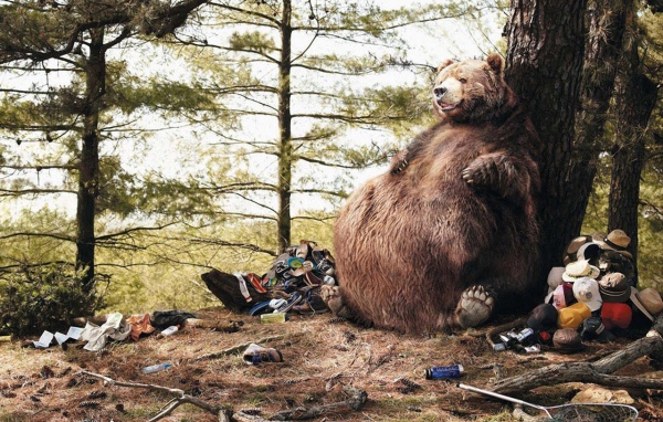 Толстый медведь сидит у дерева