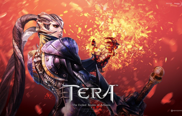 Воин из видео игры Тера